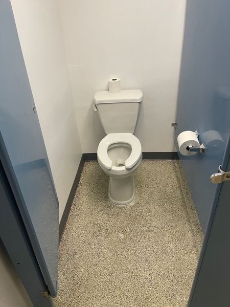 A small, white-walled bathroom with a toilet. The floor is speckled and the doors are blue.