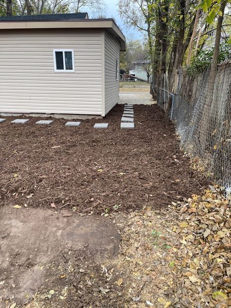 Backyard scene: tan shed, stepping stones, wood mulch, chain link fence.