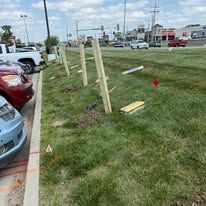 A car parked on a grassy area next to a wooden fence with signs on it.