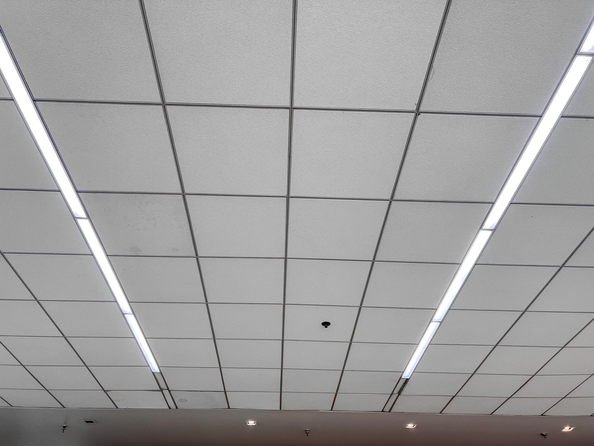 Ceiling with white acoustic tiles and long fluorescent light strips in an indoor room