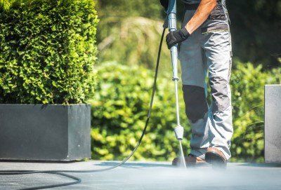 Person pressure-washing a patio beside a large green potted plant