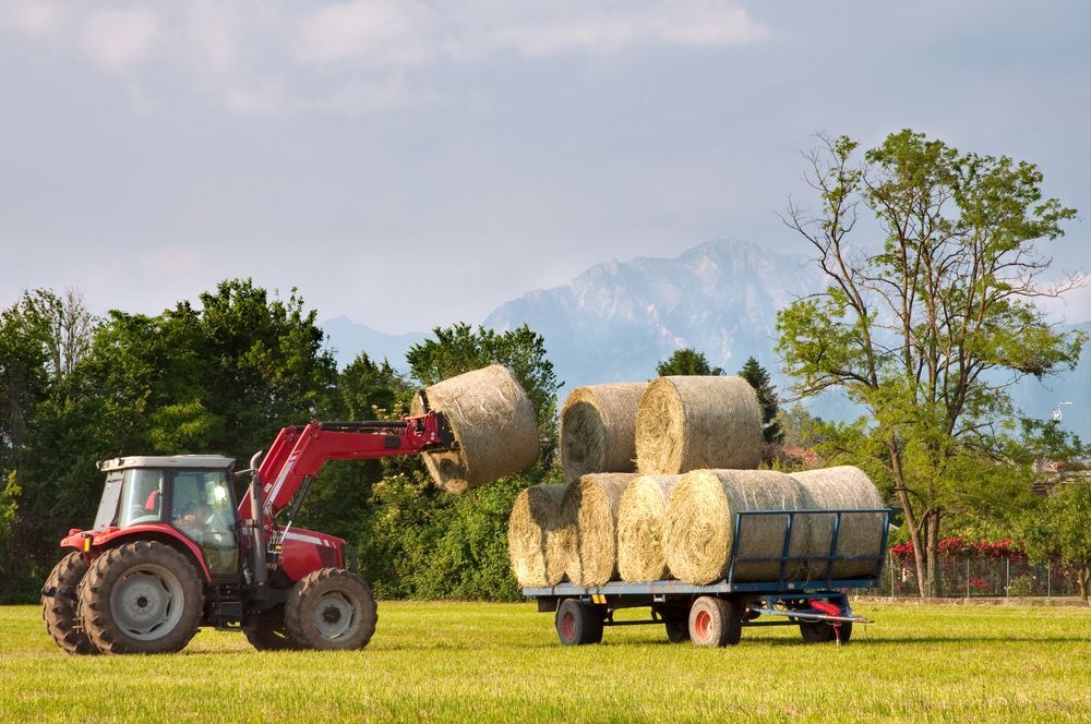 Red Tractor Loading Hay Bales Onto A Trailer In A Green Field — Southern Protein Systems in Glenquarry, NSW