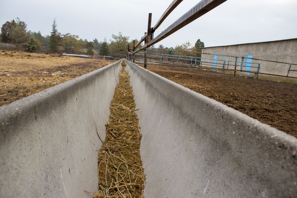 Long Concrete Feed Trough Between Dirt Pens, With Overhead Pipes — Southern Protein Systems in Glenquarry, NSW