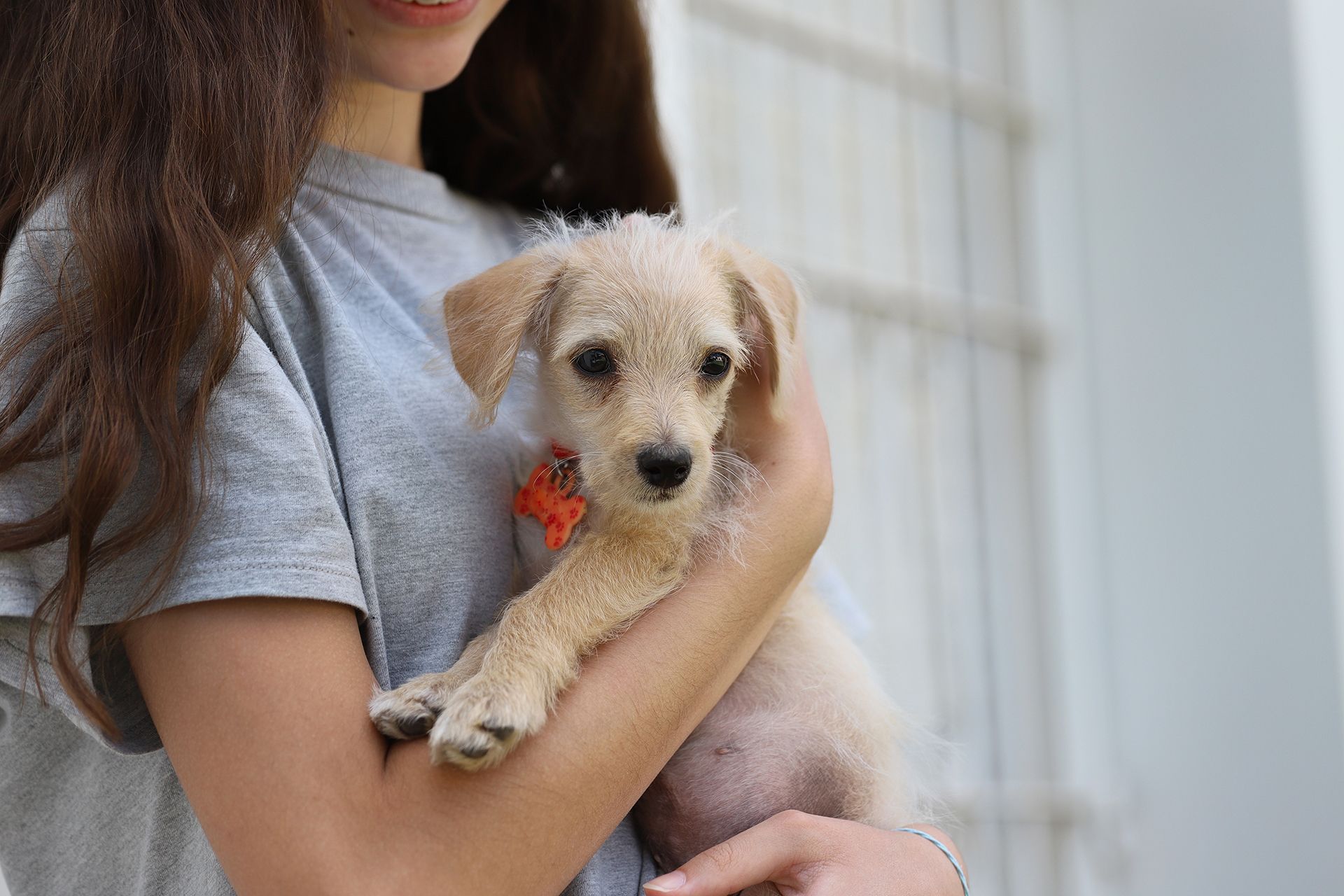 En décembre, prenons un moment pour réfléchir à la place que nous accordons aux animaux dans nos vie