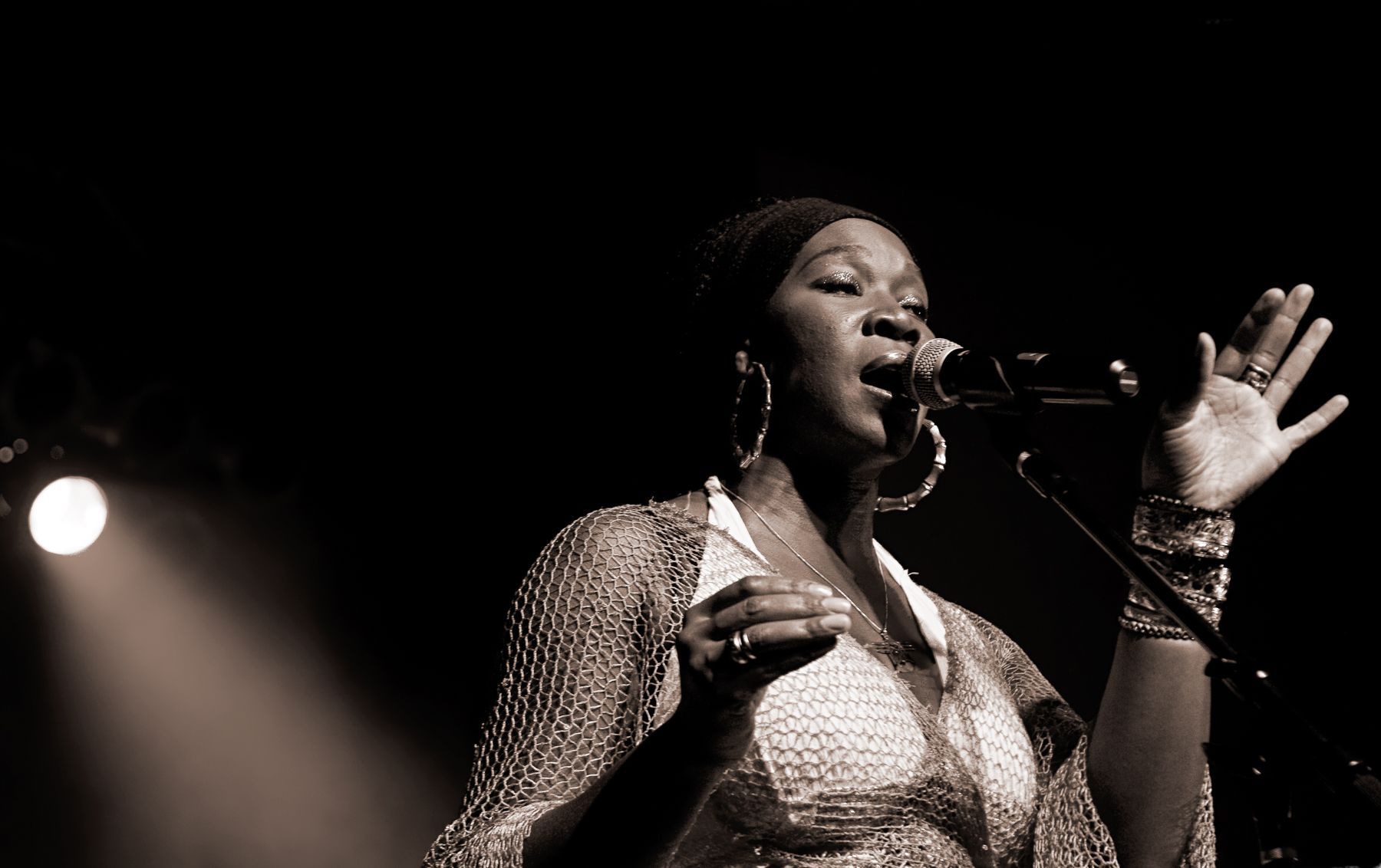 Posh Hammer band photo in Asheville music photo studio