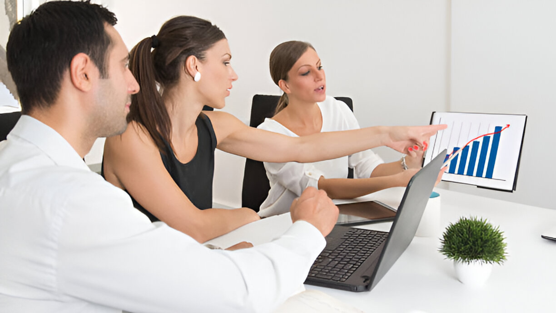 Advanced Canvassing Software to Boost Team Performance
