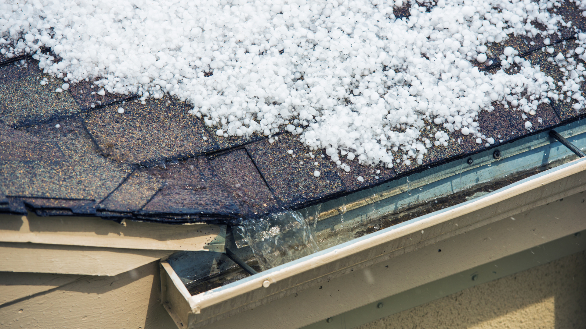 storm damage leads
