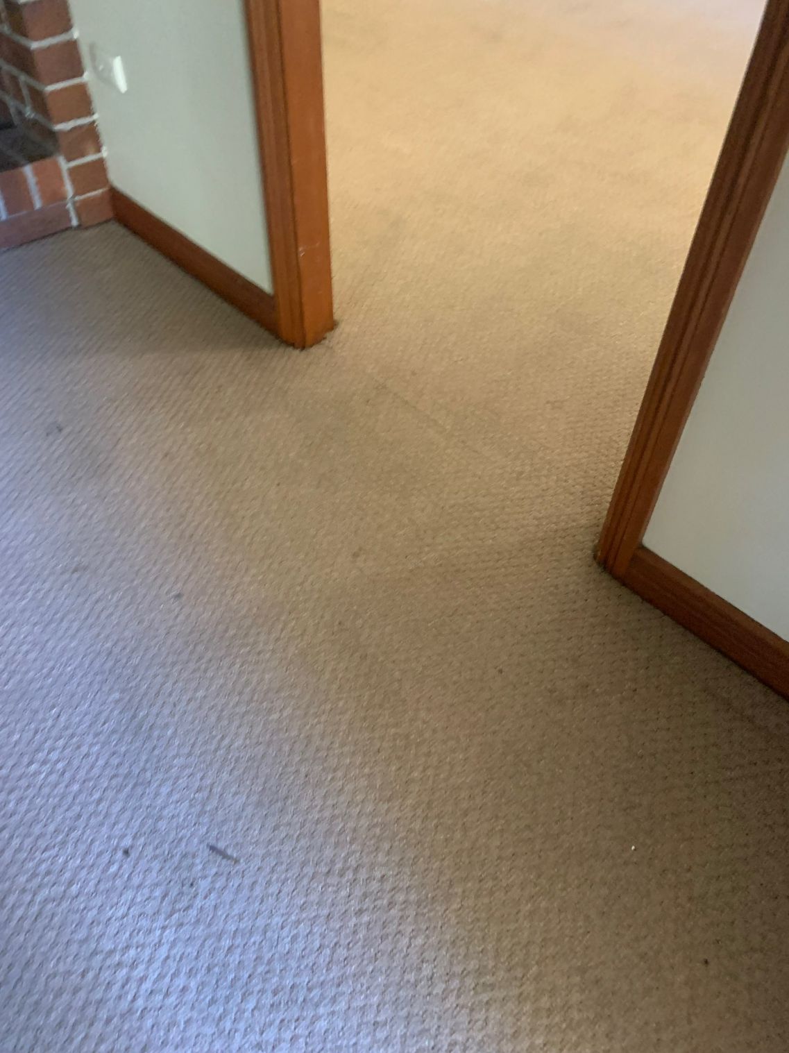After Cleaning The Carpet — Carpet Cleaning in Wollongong, NSW