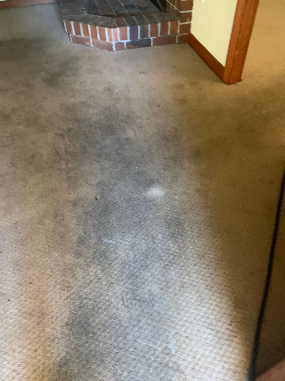 Dirty Carpet Before Cleaning — Carpet Cleaning in Wollongong, NSW