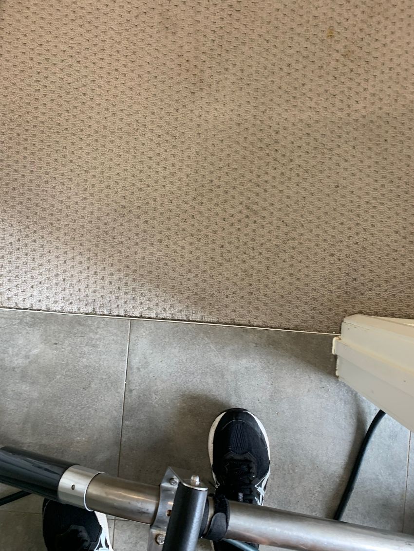 After Cleaning The Extreme Stained Carpet — Carpet Cleaning in Wollongong, NSW