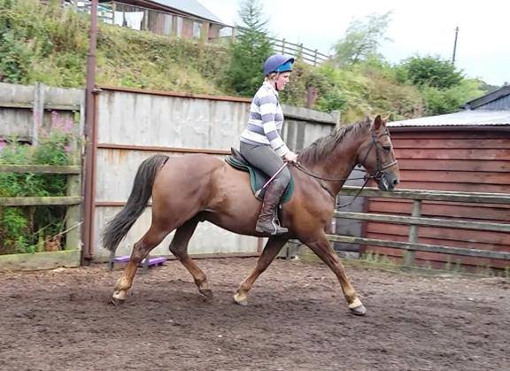 Breaking and Schooling