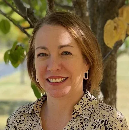 mental health practitioner mn