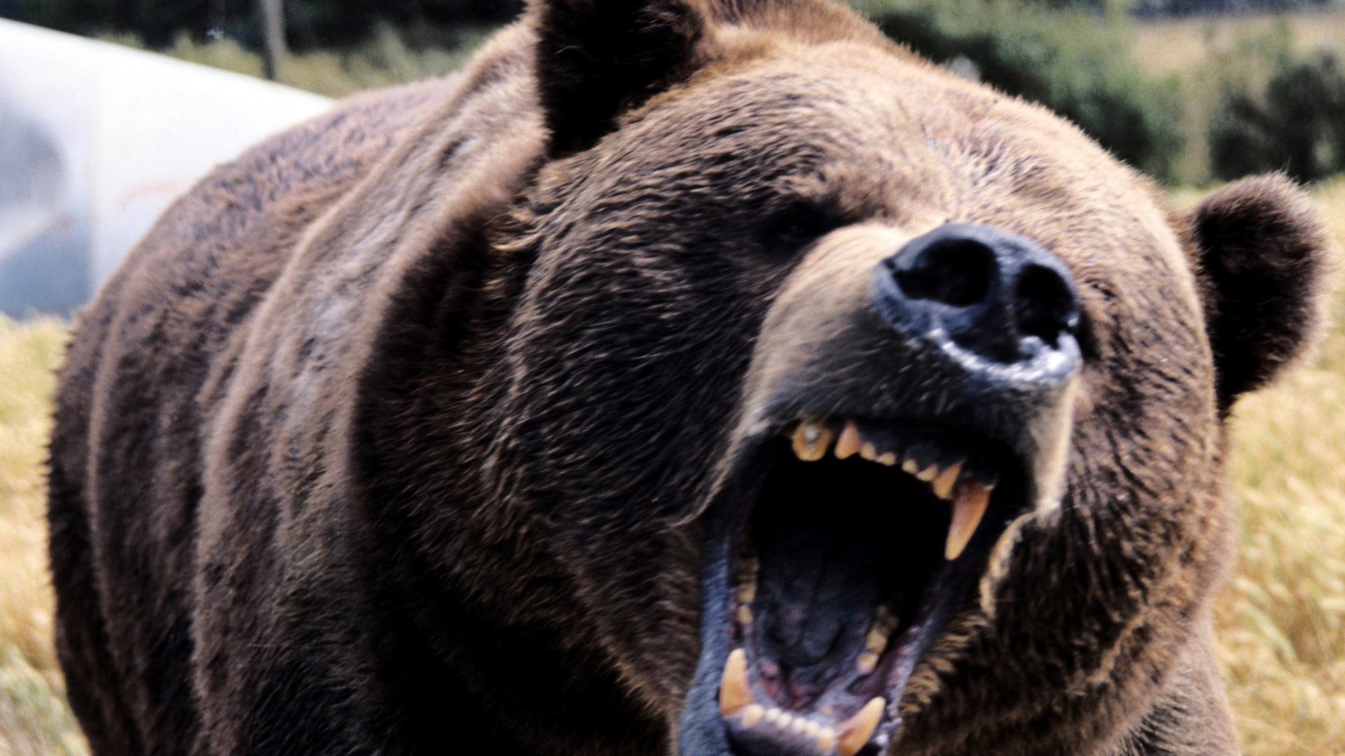 anger management help