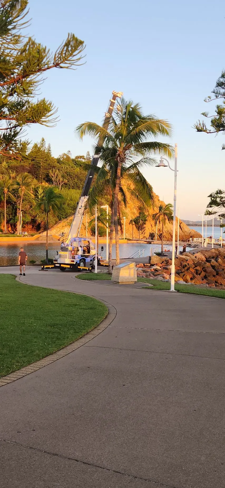 A Crane Trimming a Palm Tree Near a Beach at Dusk — Presto's Cranes & Rigging NQ in Garbutt, QLD