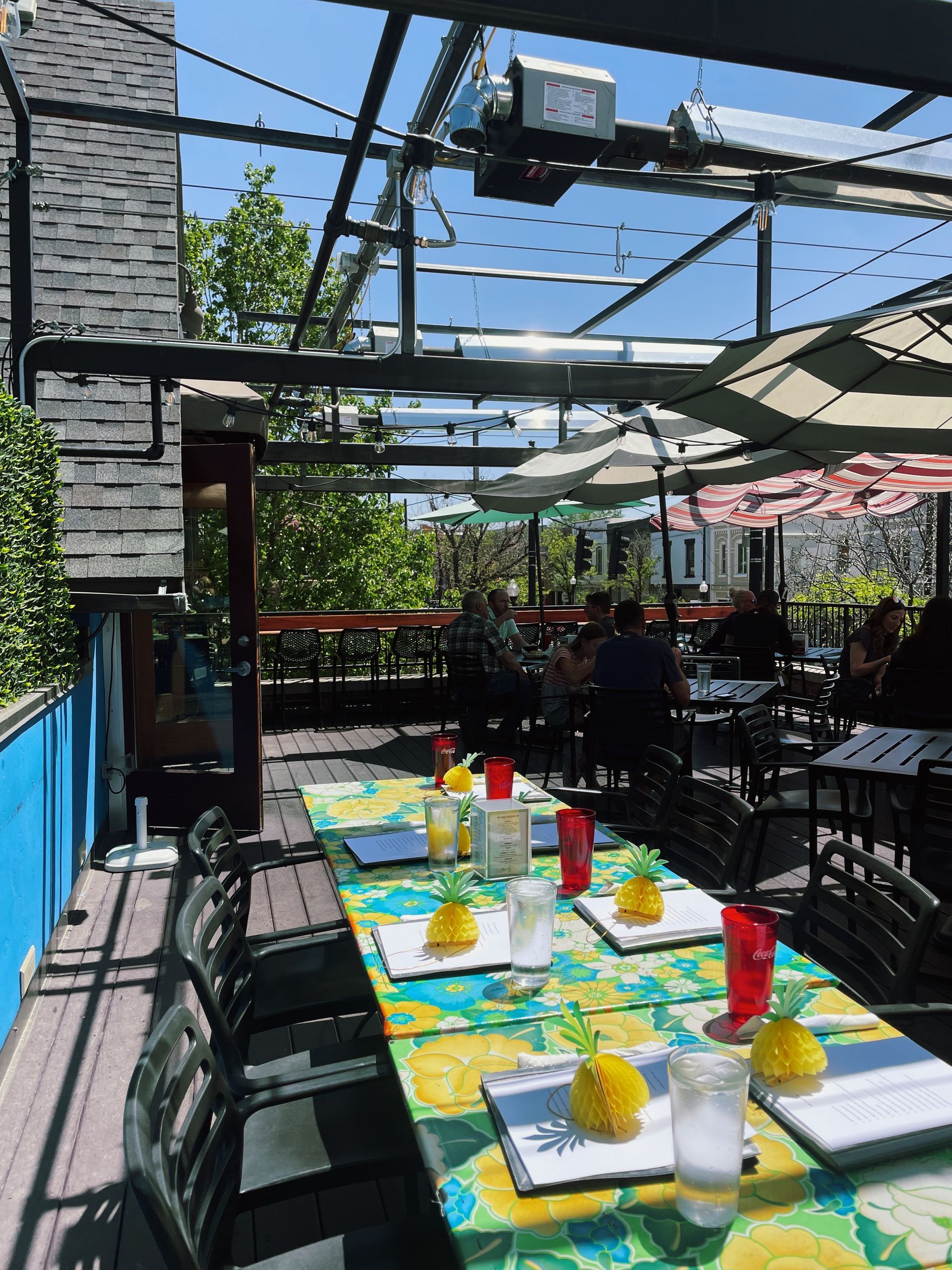 Tigris Marketing & Sponsorship Pineapple Party Time