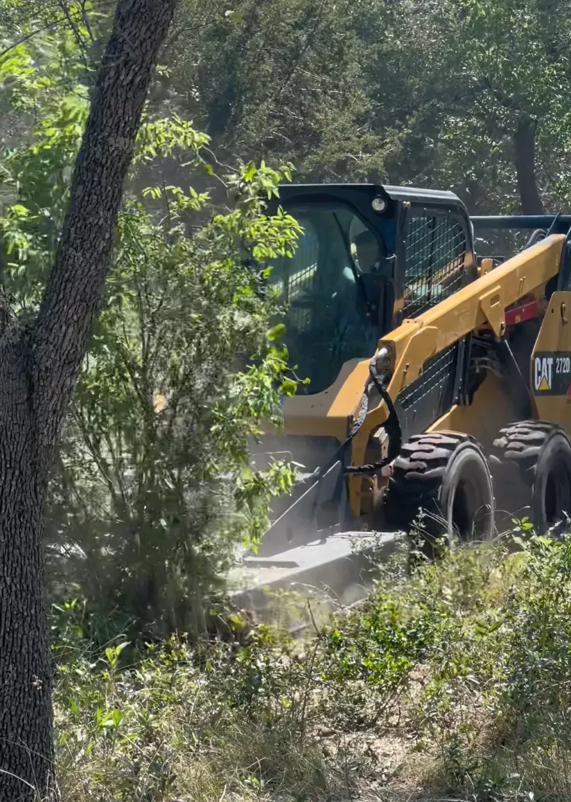 Yellow skid steer clears brush in a wooded area, blades visible.
