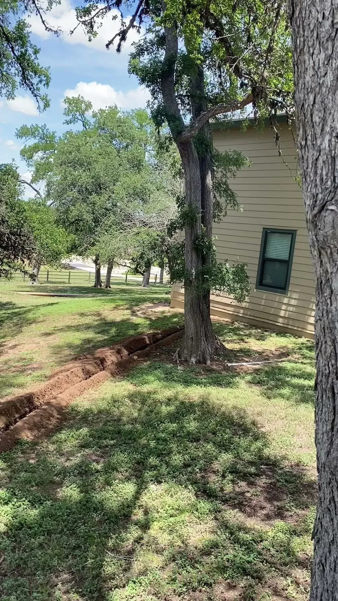 A tree trunk next to a tan house with a green window; a trench is dug in the grass.