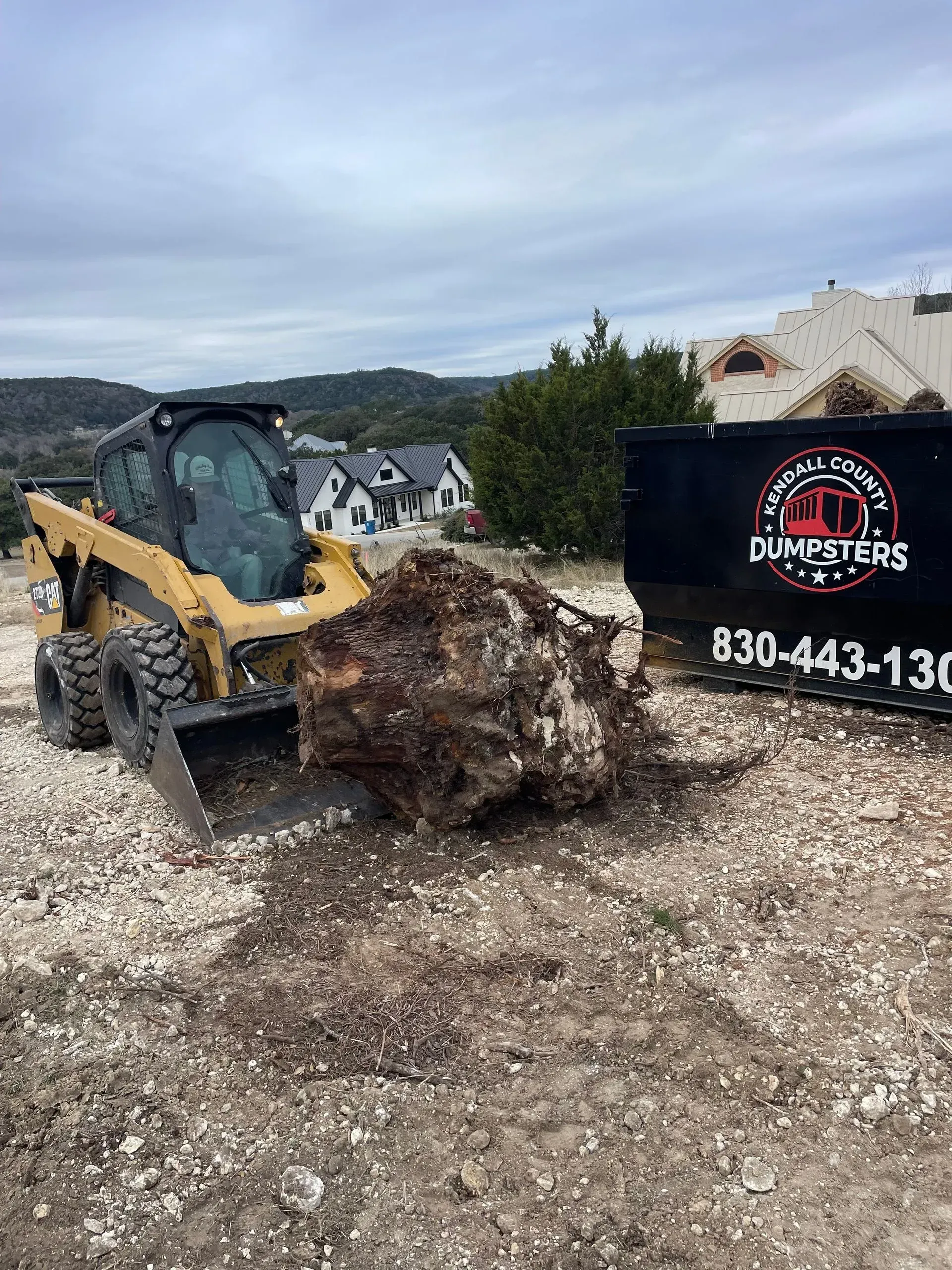 Skid steer loader with a large tree root in its bucket, near a dumpster. Outdoors, overcast.