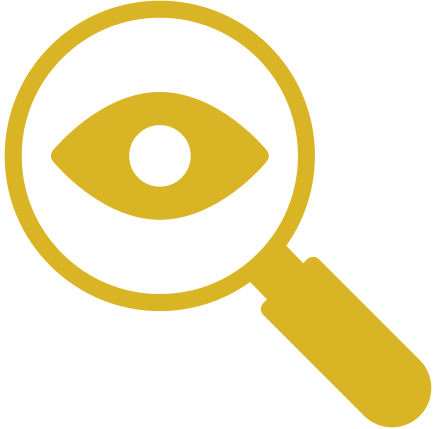 investigation icon