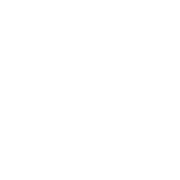 security shield icon