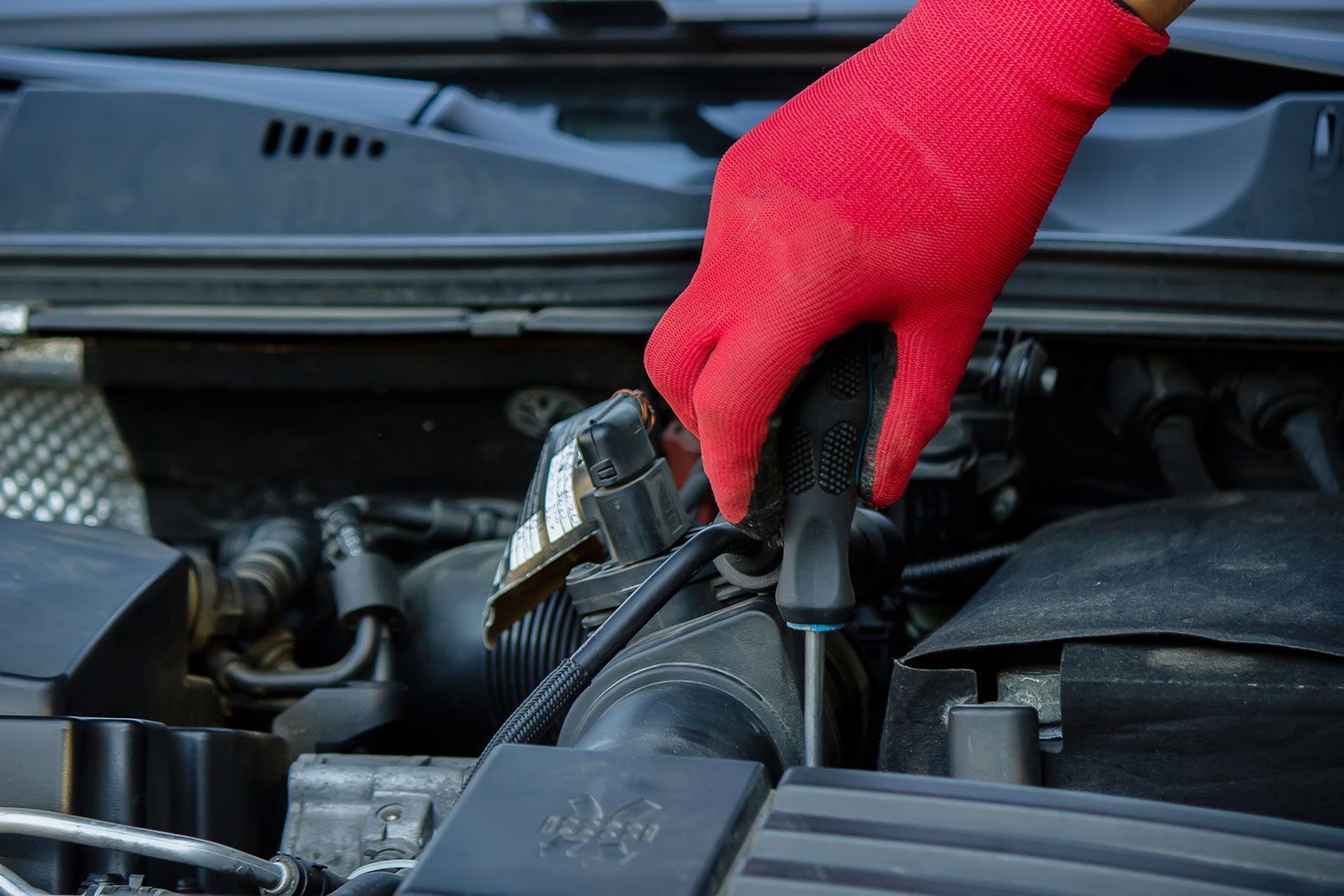 Transmission Fluid Change
