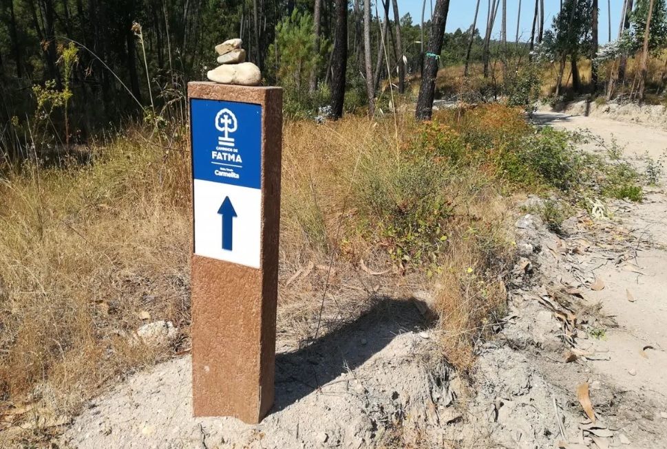 Poste de sinalização com placa azul e seta em um caminho arenoso em uma área seca e arborizada.