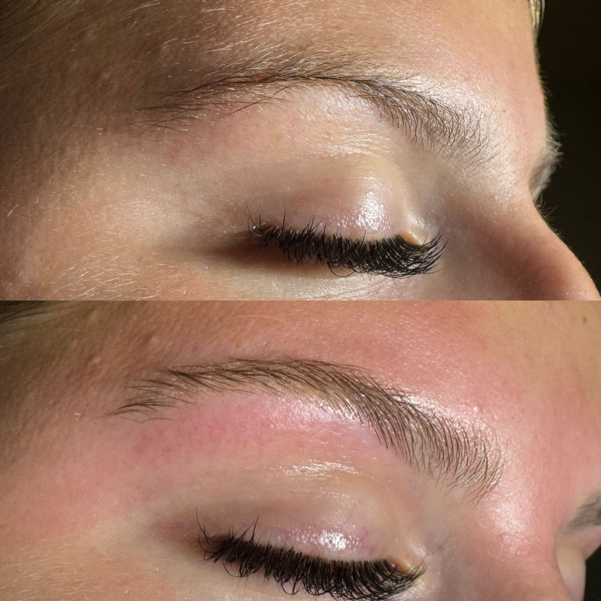 Brow wax and tint example