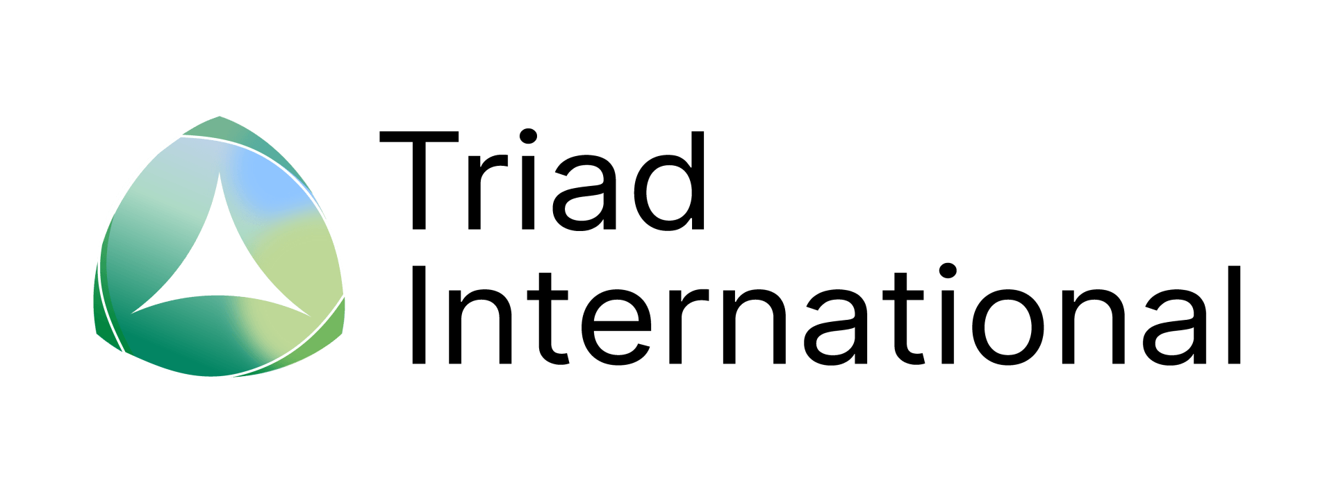 A triad international logo with a green triangle on a white background.