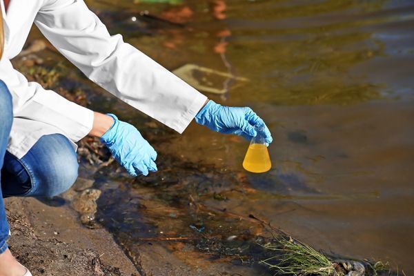 A scientist is taking a sample of water from a river.