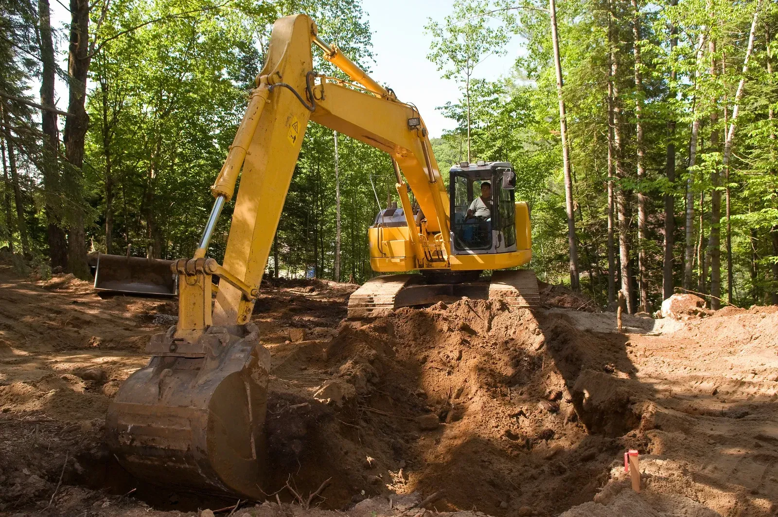 Yellow excavator digging in dirt in a forest setting.