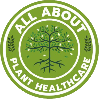 Green circular logo: 