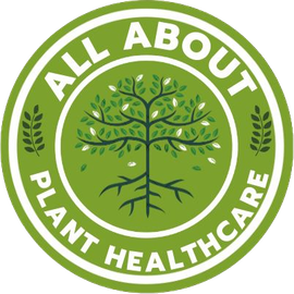 Green circular logo: 