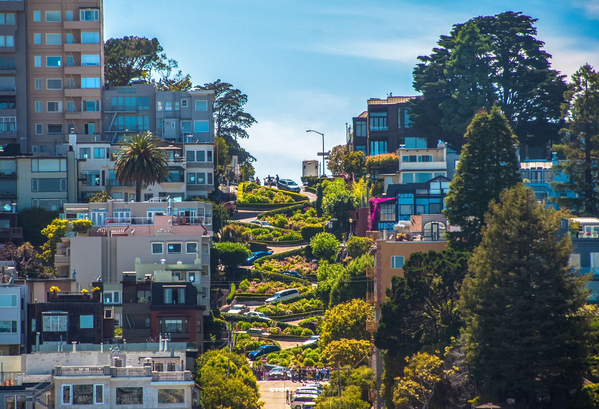 Lombard Street in San Francisco, featuring its famous steep, winding road lined with lush greenery and residential homes.