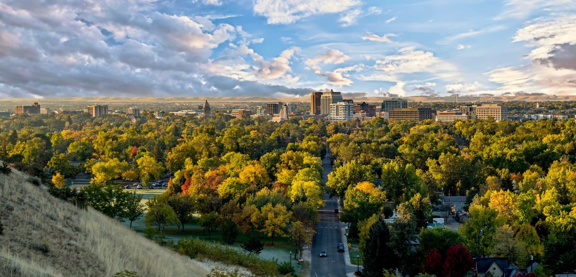 A scenic panoramic view of a city skyline rising behind a lush, autumn-colored forest under a cloudy blue sky.