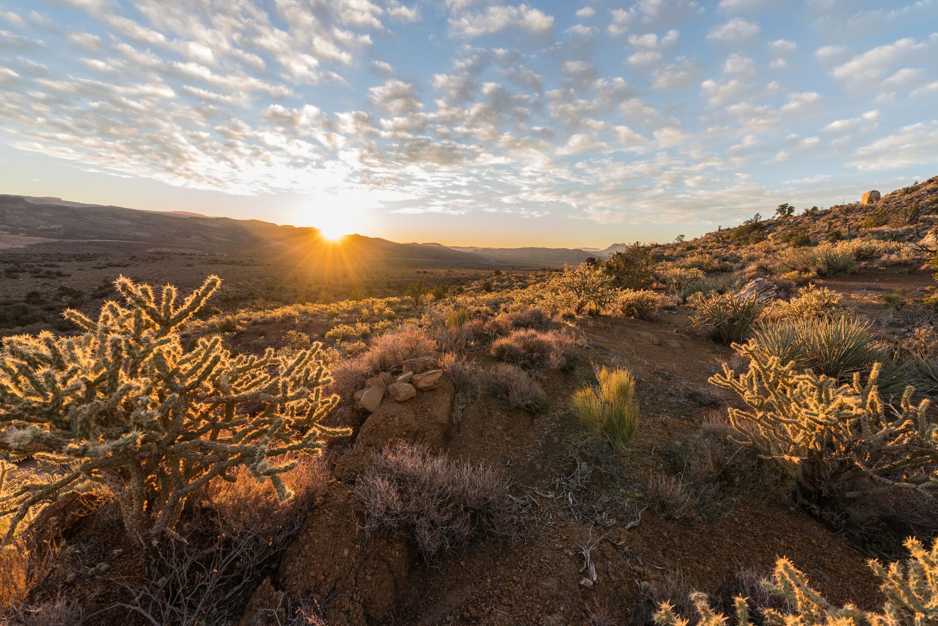 Golden sunrise over a desert landscape with cacti silhouetted against rugged hills and a cloudy blue sky.
