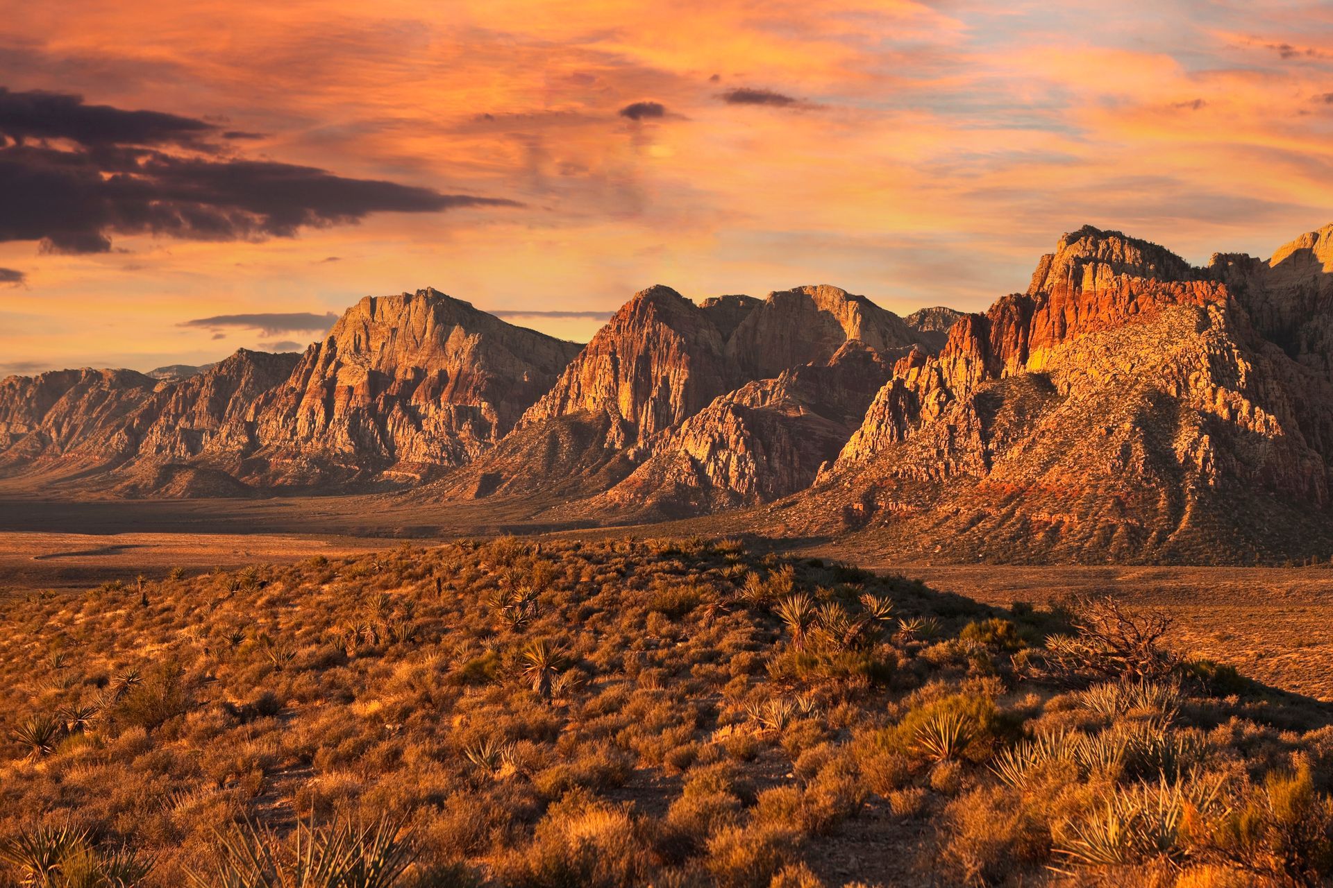 A desert landscape at sunset with rugged, sunlit red mountains rising above a foreground of shrubs under a golden sky.