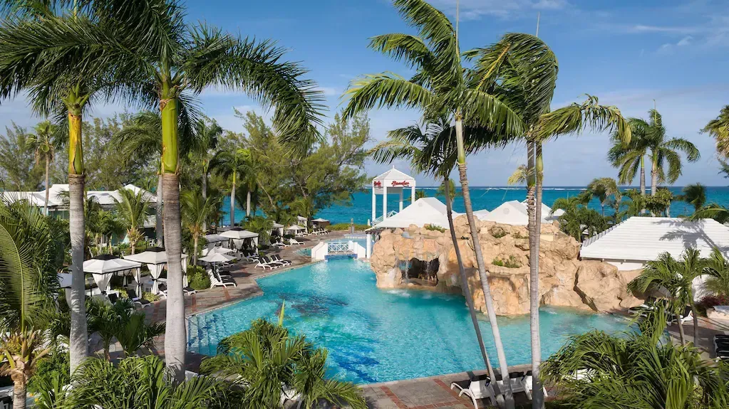 Tropical resort pool with palm trees, thatched cabana, and ocean view under a bright blue sky