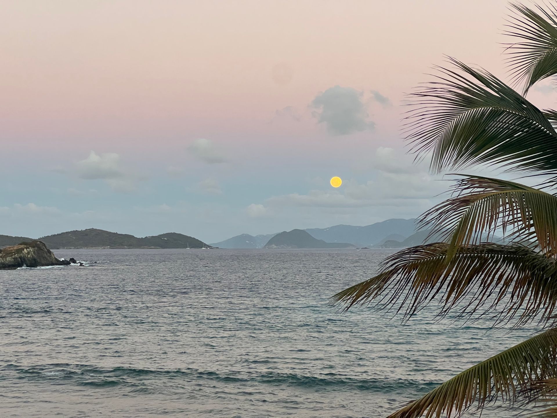 Sunset over calm ocean with distant islands and a palm frond framing the right side