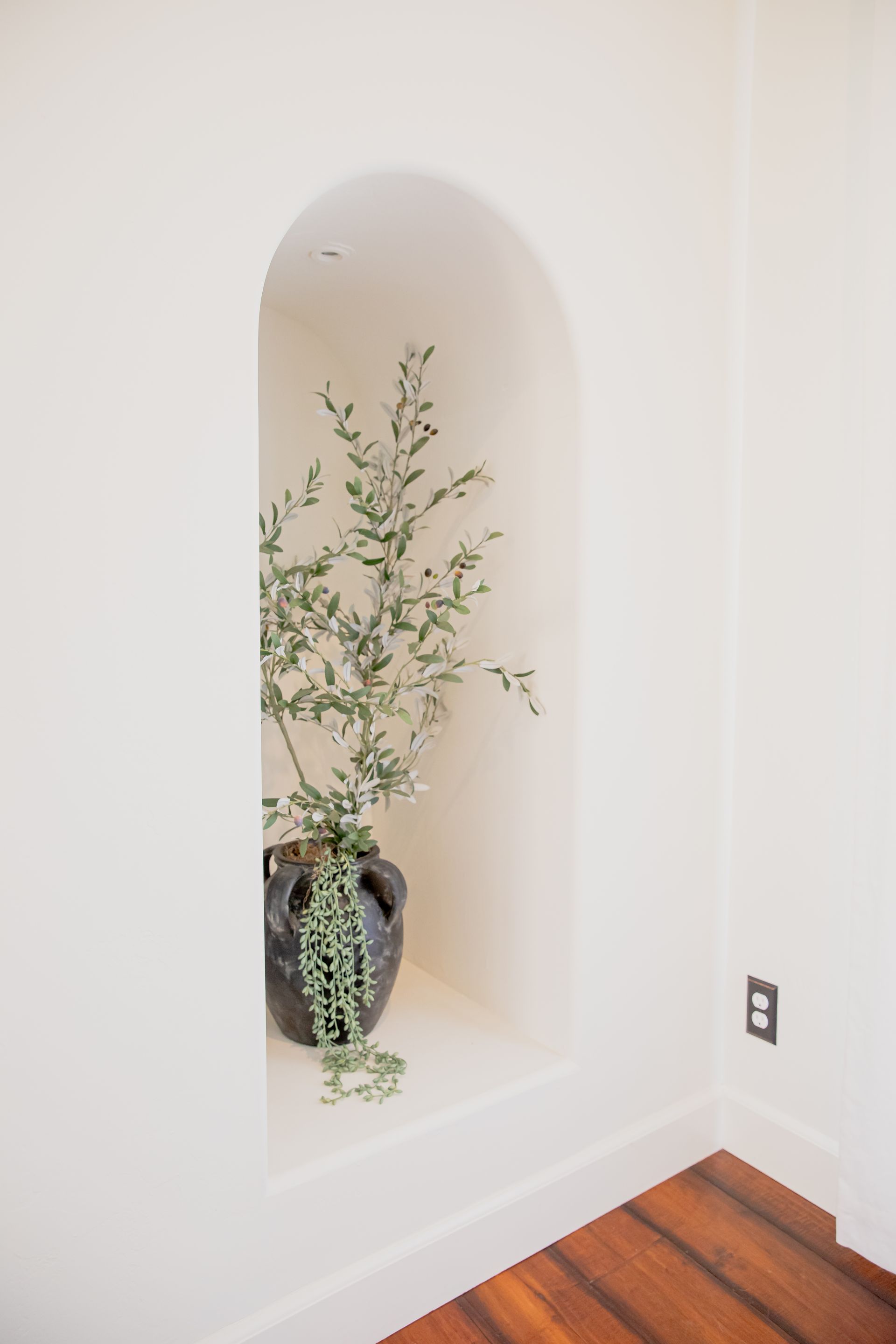 A potted plant is sitting in a niche in a white wall.