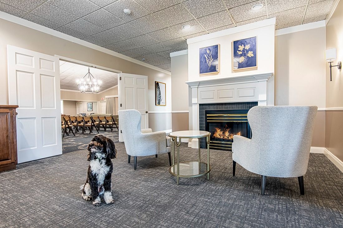 A dog sits on a carpet in a room with a fireplace and two chairs. Light-colored walls and doors lead to another room.