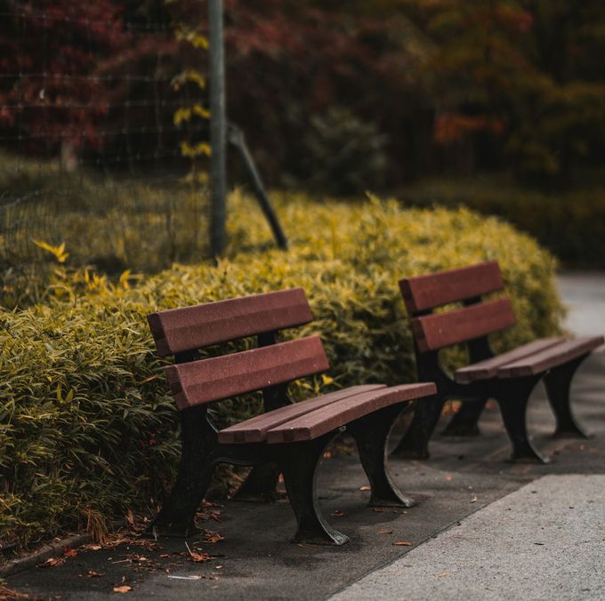 Two park benches with brown seats and black frames sit in front of a green bush. The background is blurred with autumn colors.