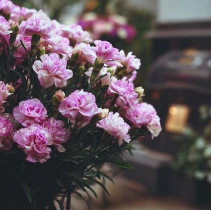 Soft pink flowers arranged indoors creating a peaceful setting for cremation services Cedarburg, WI.