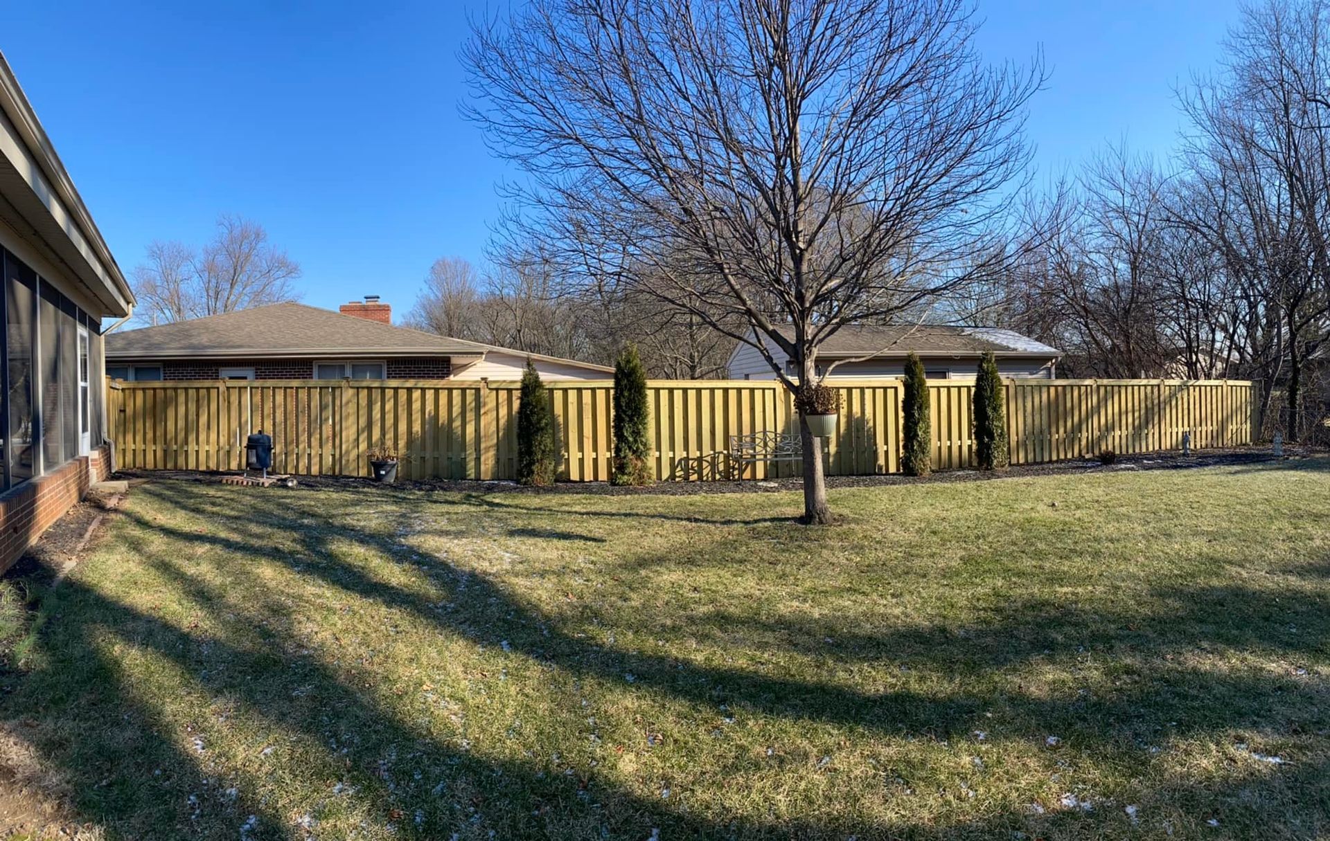 A backyard with a new wooden fence, green grass, and leafless trees under a blue sky.