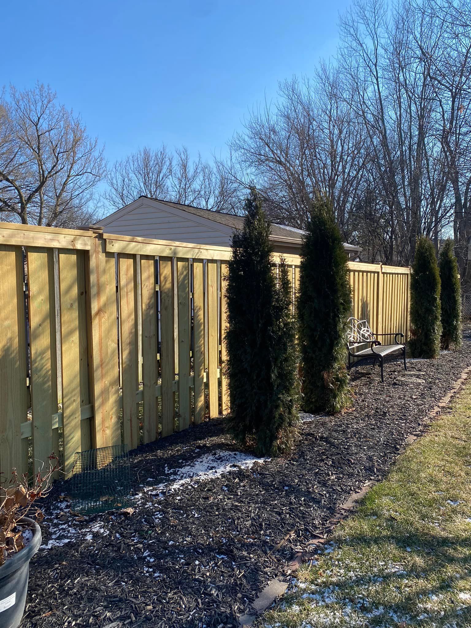 A wooden fence with evergreens, black mulch, and a blue sky.