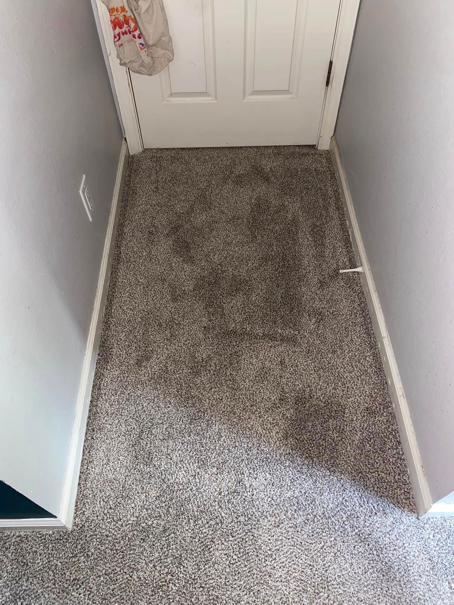 Narrow hallway with speckled carpet leading to a white door. Walls are light grey.