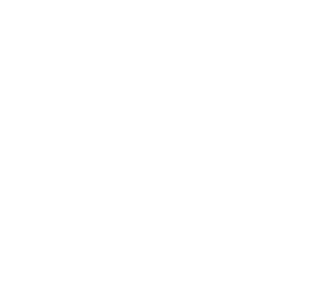 Sanchez Systemizing