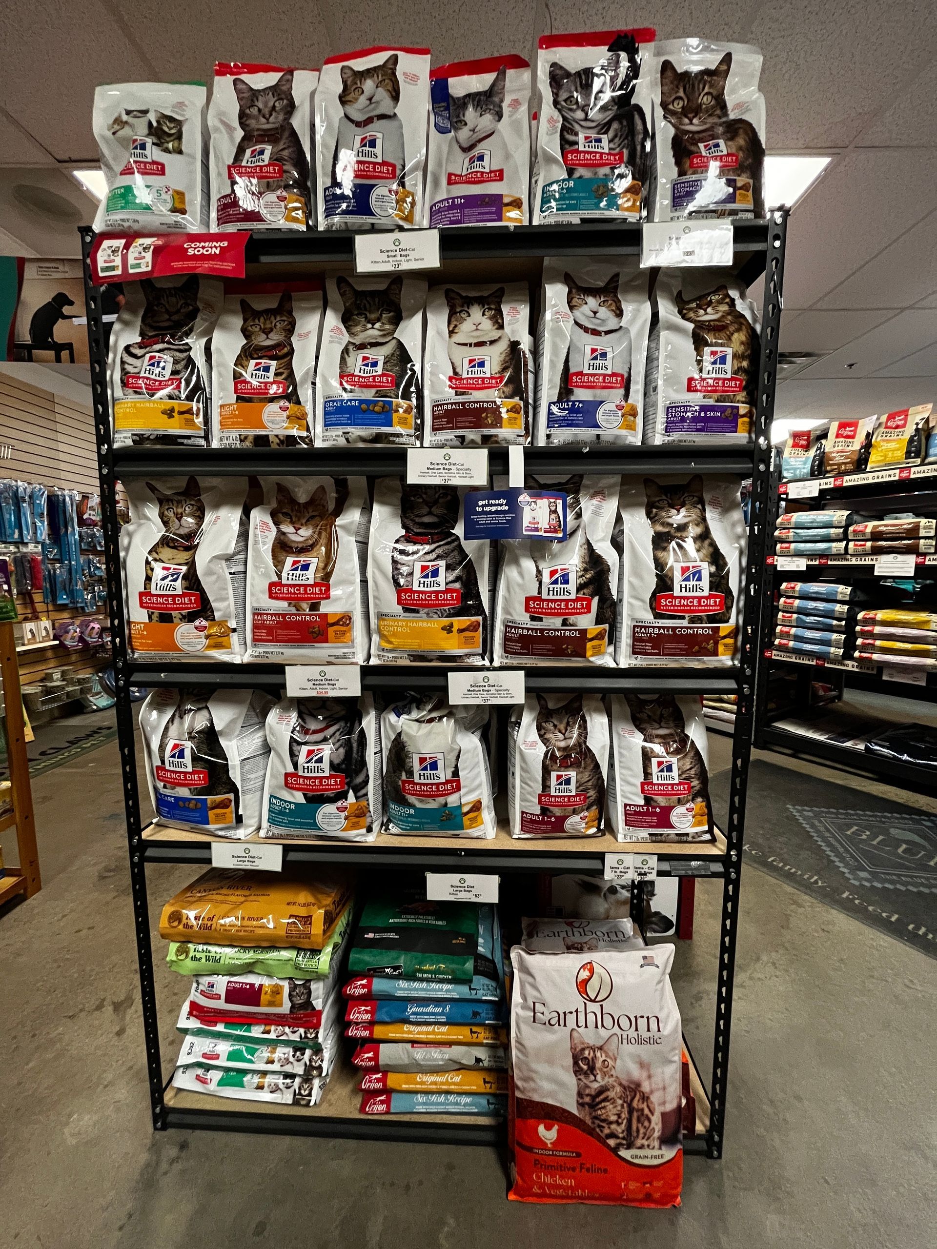 A display of cat food in a pet store