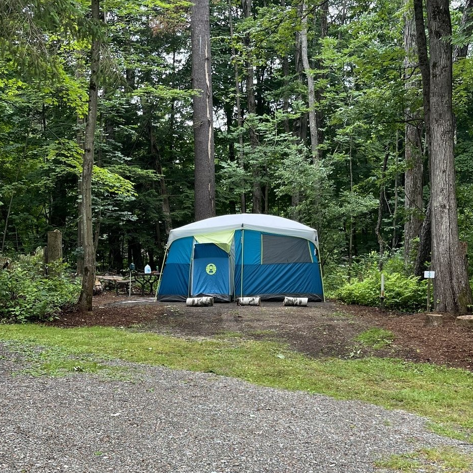 A blue tent is sitting in the middle of a forest.