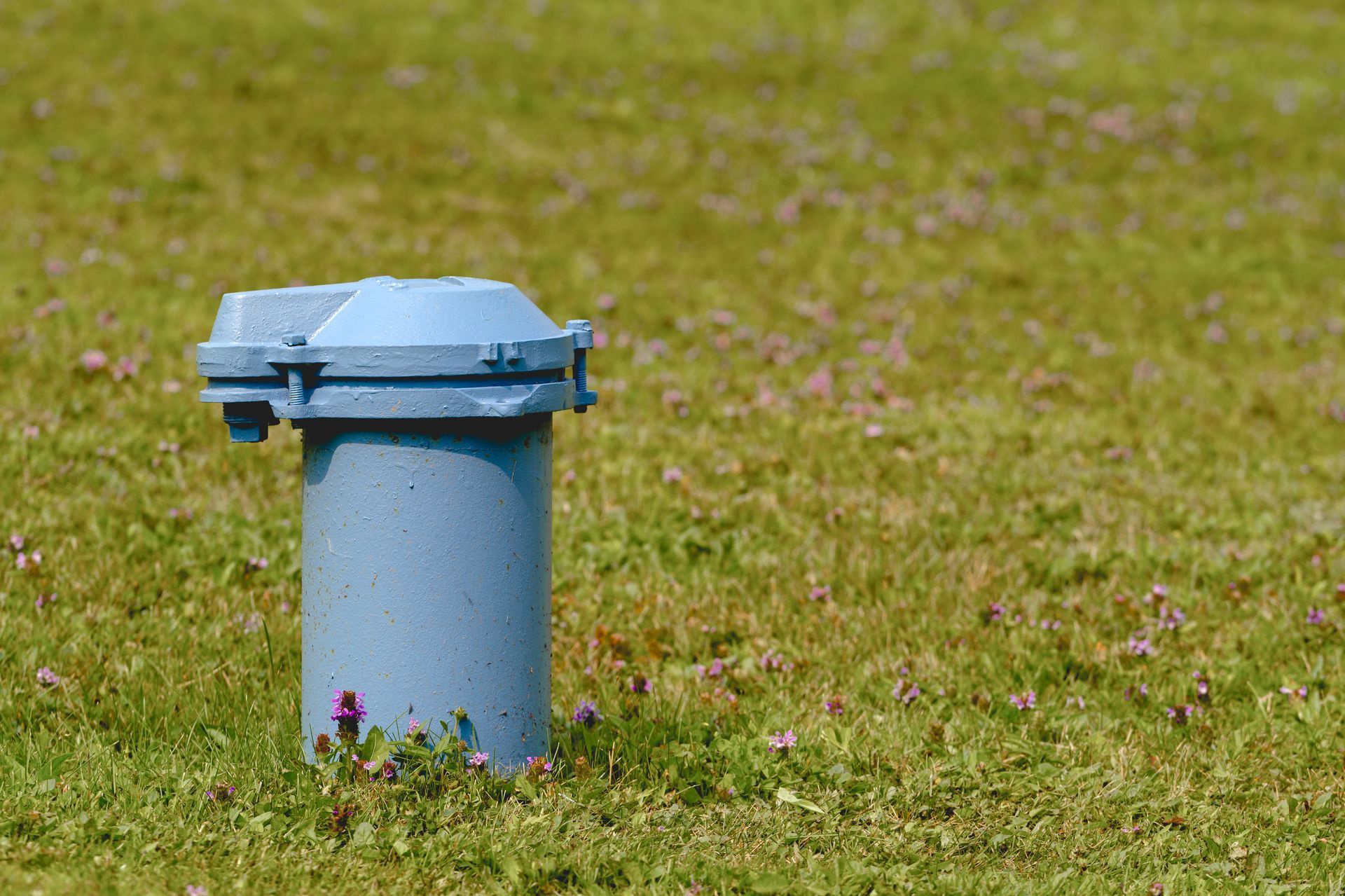 A blue pipe is sitting in the middle of a grassy field.