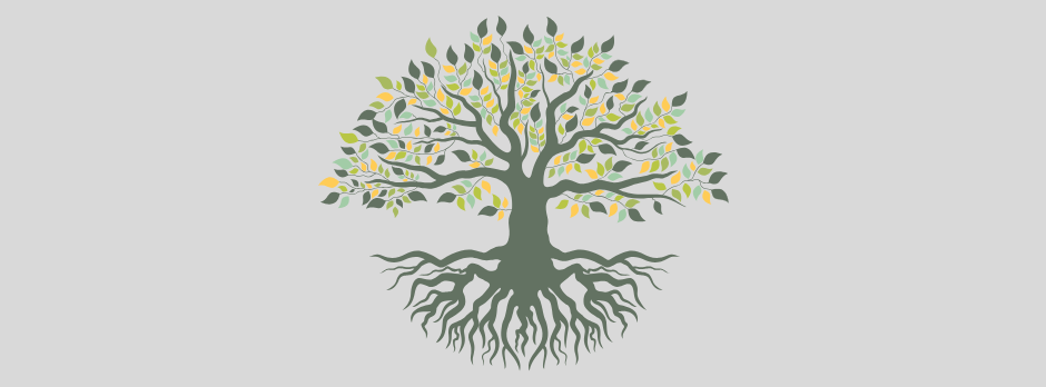 A tree with roots and leaves on a white background.